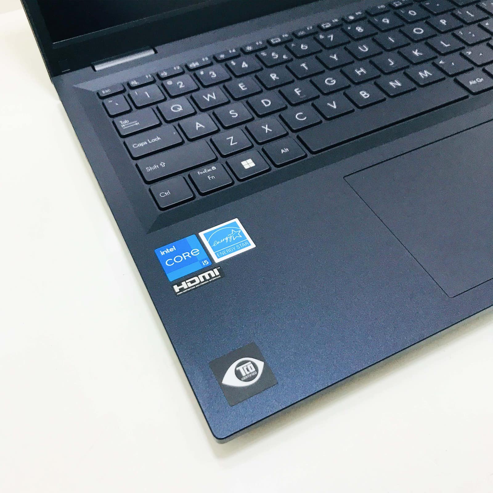 Asus Expert Book - B1503CVA