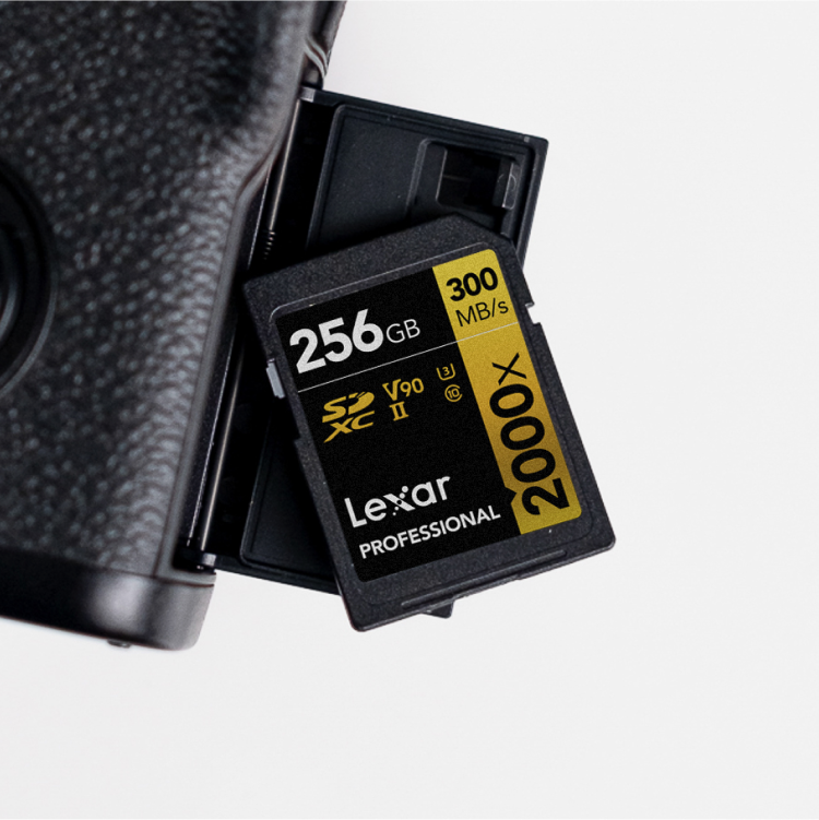 Lexar Professional 2000x SDXC™UHS-II Card GOLD Series - 512GB