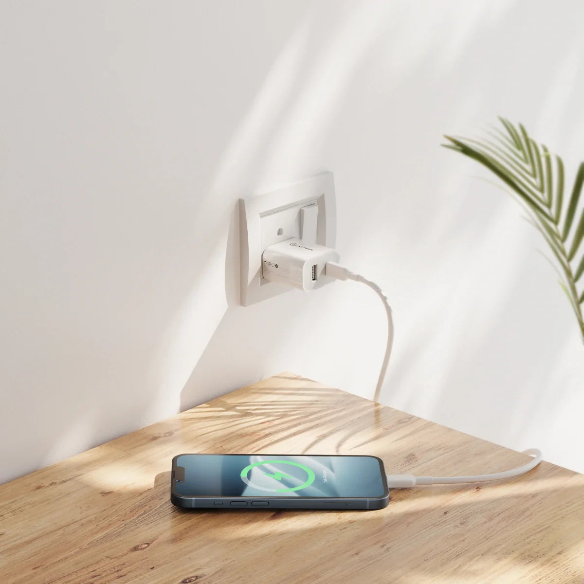 20W Rapid Power USB-C & USB-A Wall Charger