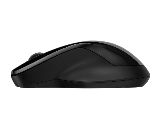 HP 250 Dual wireless Bluetooth Mouse
