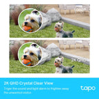 TP Link Tapo C420S2 2K QHD Wire Free Smart WIFI Security Camera IP65 (2 Camera Kit)