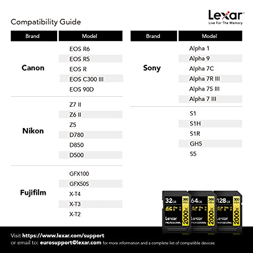Lexar Armor Silver PRO SD Card