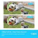 TP-Link Tapo C400S2 Smart 1080p Full HD Wire Free Outdoor Security Camera IP65 (2 Camera System)