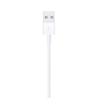 Lightning to USB Cable (2 m)