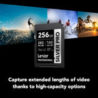 Lexar Professional SILVER PRO SD Card