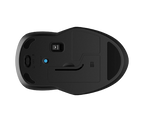 HP 250 Dual wireless Bluetooth Mouse
