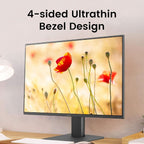 BenQ GW2491 RGB Monitor (black)