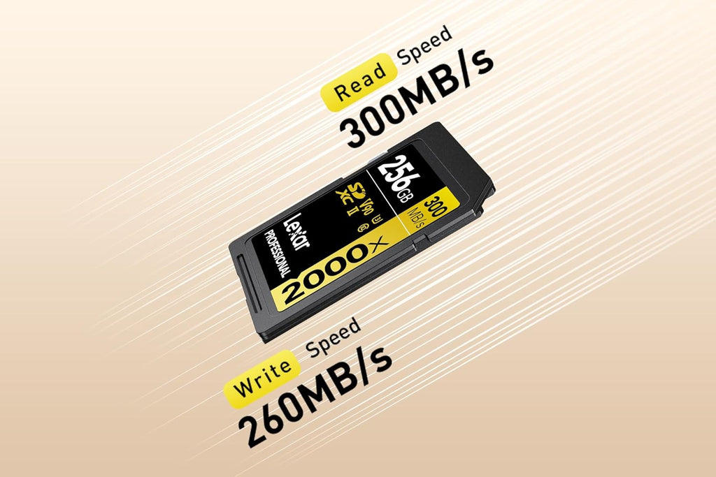 Lexar Armor Silver PRO SD Card