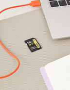 Lexar Armor Silver PRO SD Card