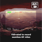 Lexar ARMOR GOLD SDXC UHS-II Card - 256GB