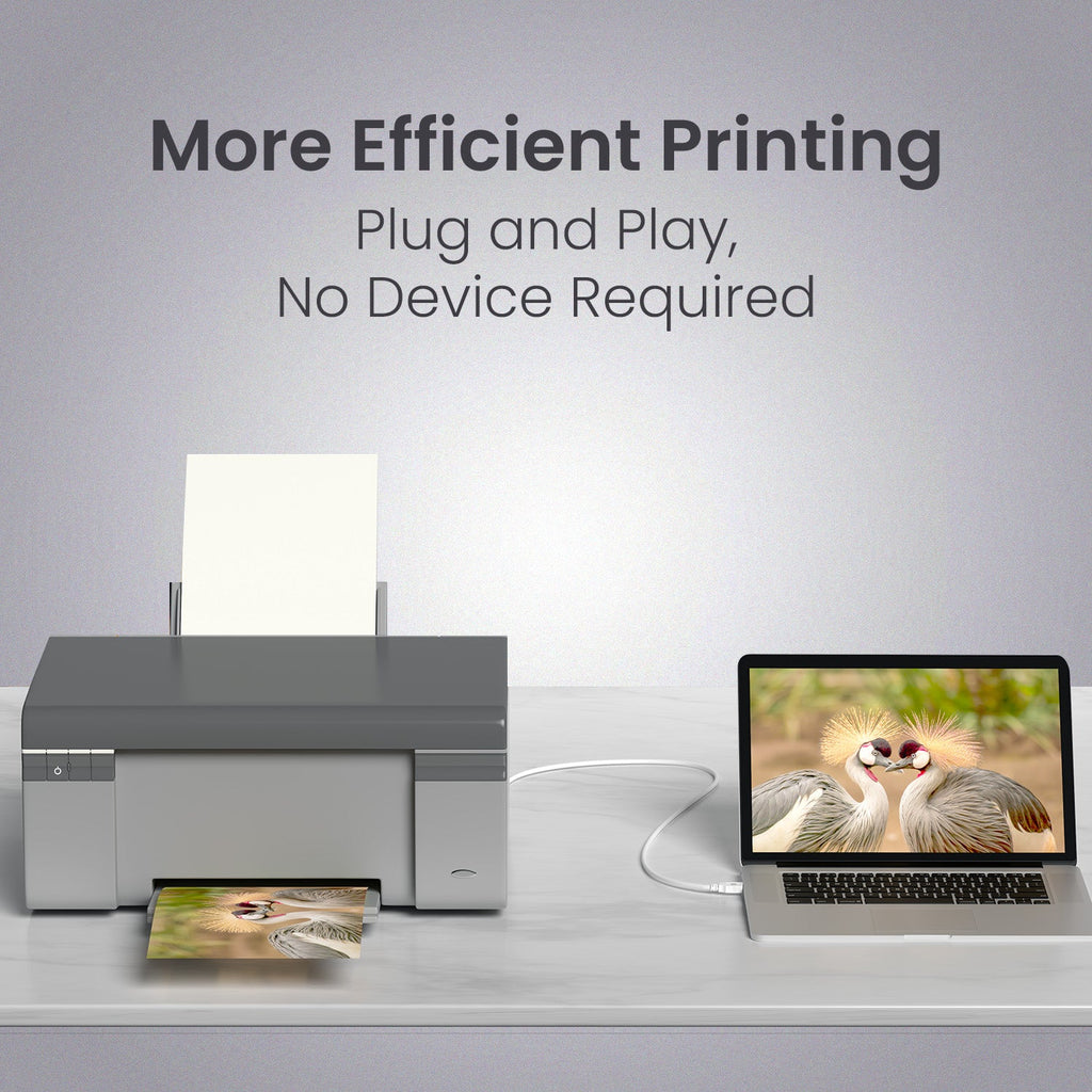 Printlink 3 - USB A To USB B For Printer 3M Cable