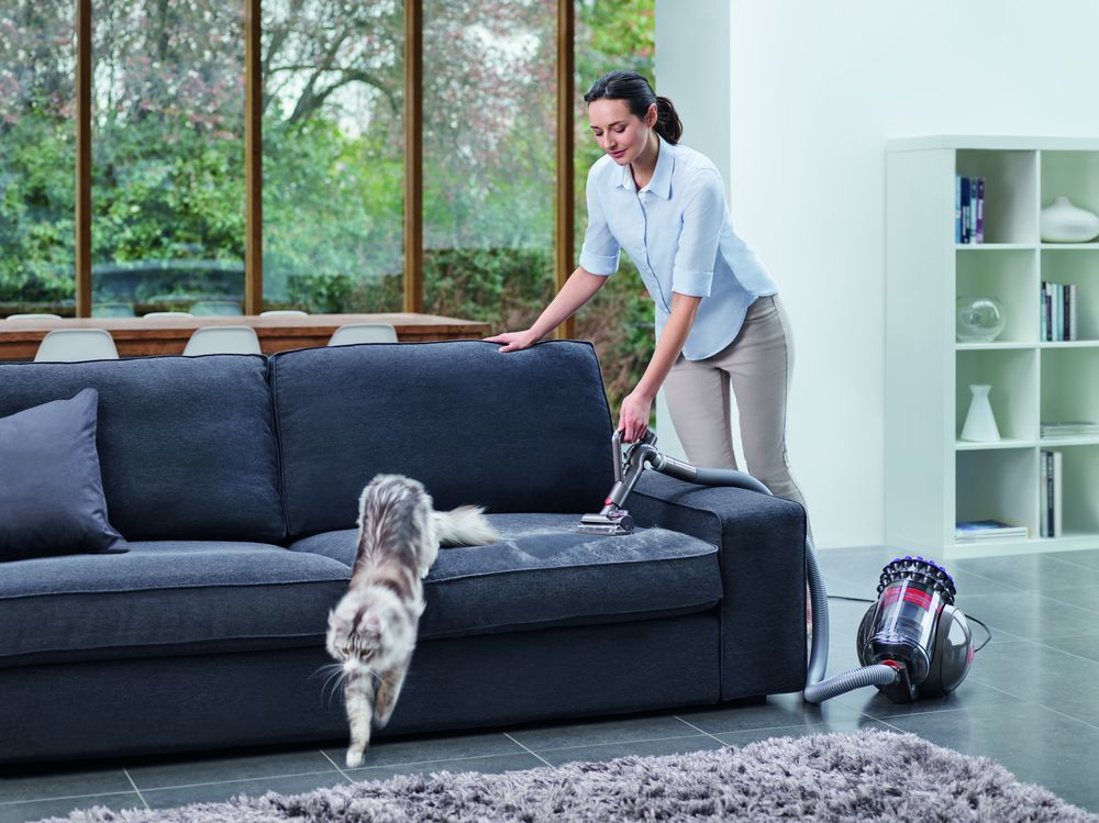 Dyson Big Ball™ vacuum