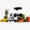 Omega J8228C Cold Press Juicer