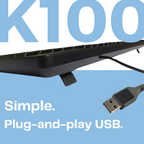 HP K100 Wired Wired USB Desktop Keyboard  (Black)