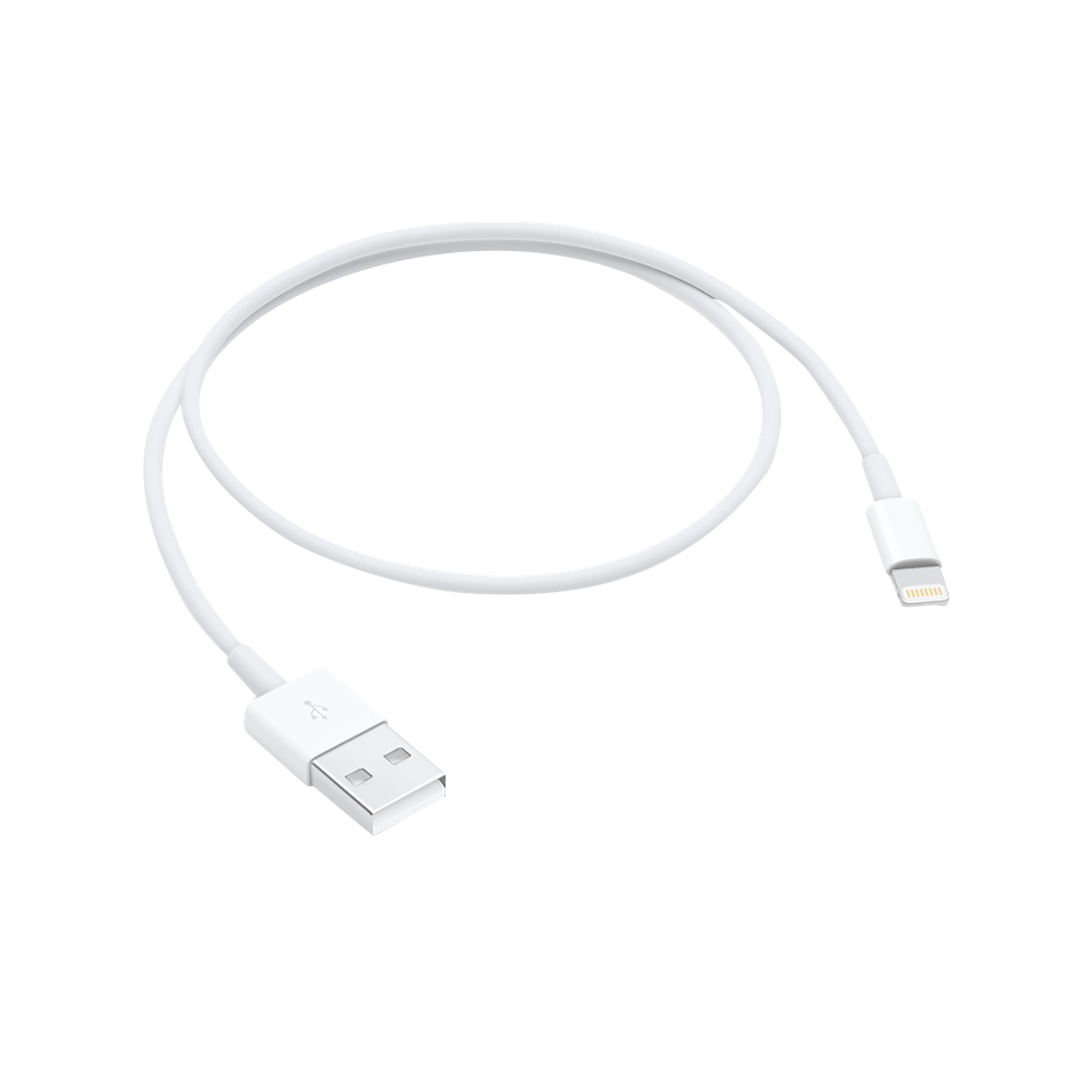 Lightning to USB Cable (0.5 m)
