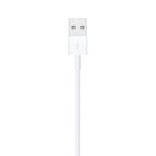 Lightning to USB Cable (1m)