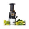 Omega MMV702SF Mega Mouth Vertical Low-Speed Juicer