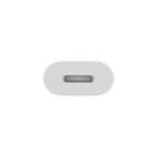 USB-C to Lightning Adapter