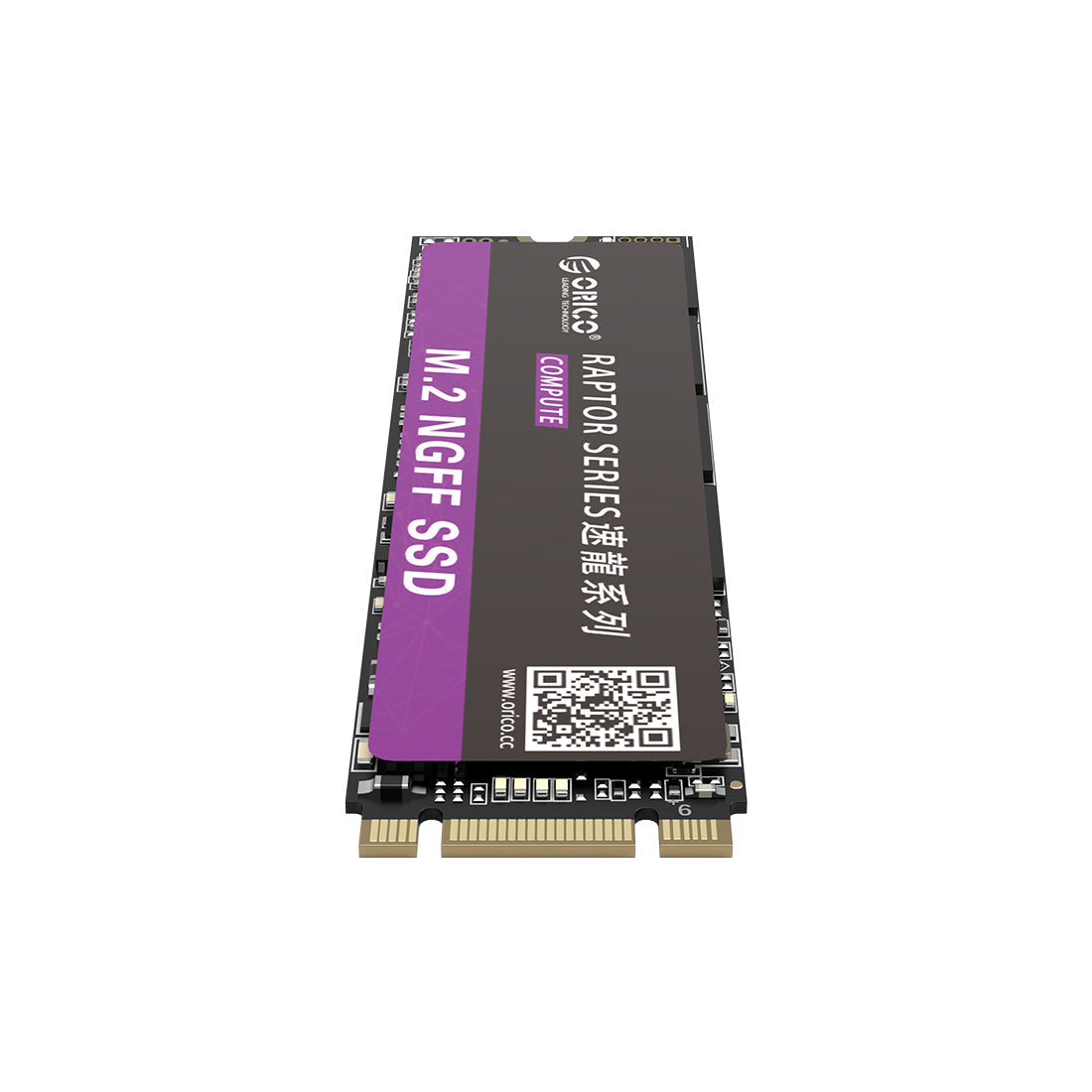 Orico N310 Raptor Series 960GB M.2 NGFF 2280 Internal Solid State Drive