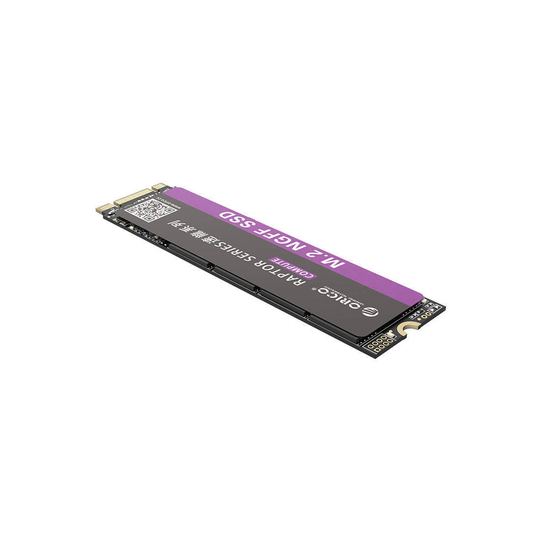 Orico N310 Raptor Series 960GB M.2 NGFF 2280 Internal Solid State Drive