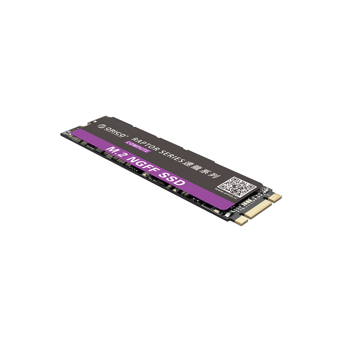 Orico N310 Raptor Series 960GB M.2 NGFF 2280 Internal Solid State Drive