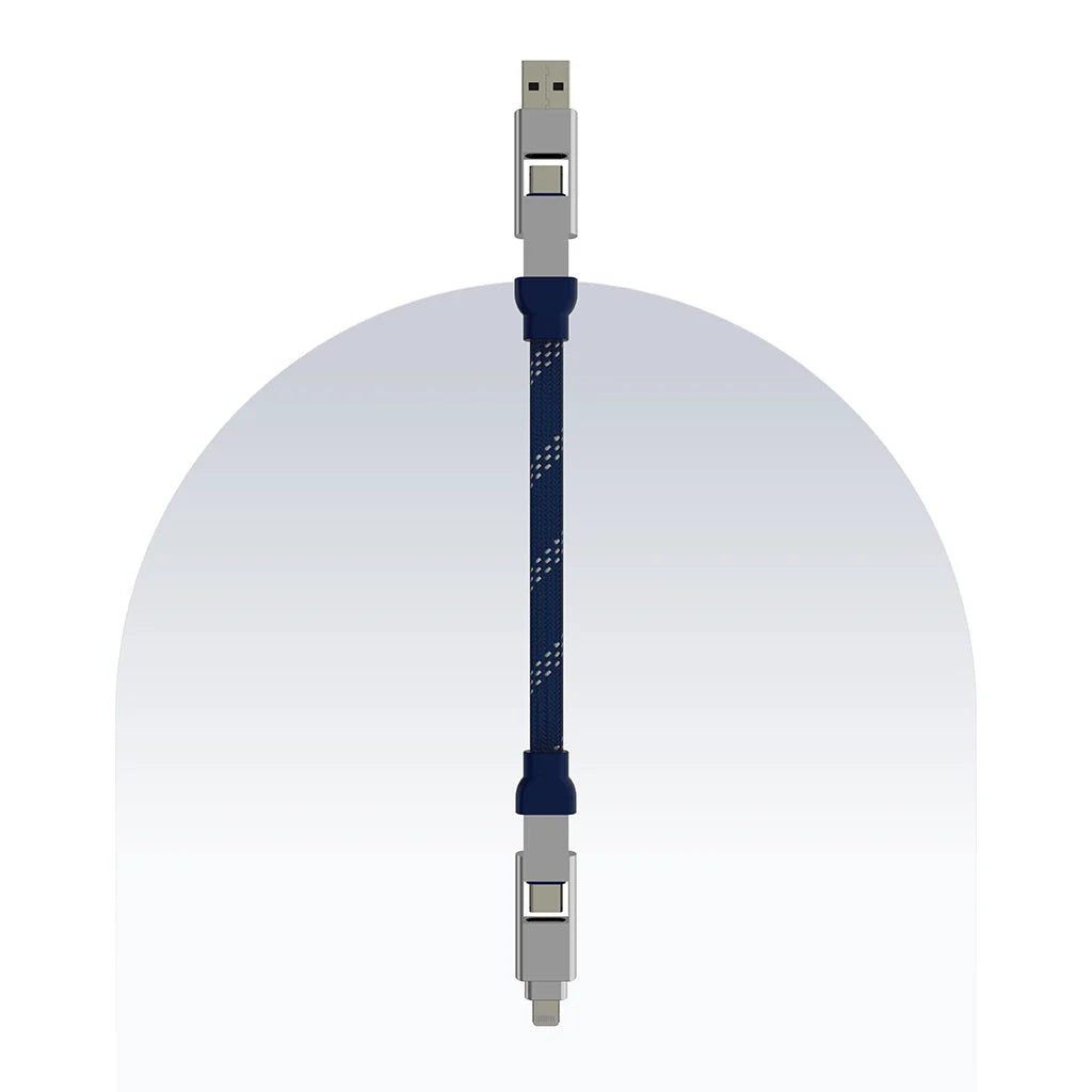 4 in 1 65W Payal Singhal Edition Cable 4 Ft