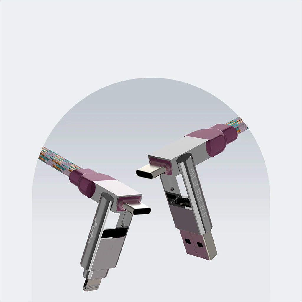 4 in 1 65W Payal Singhal Edition Cable 4 Ft