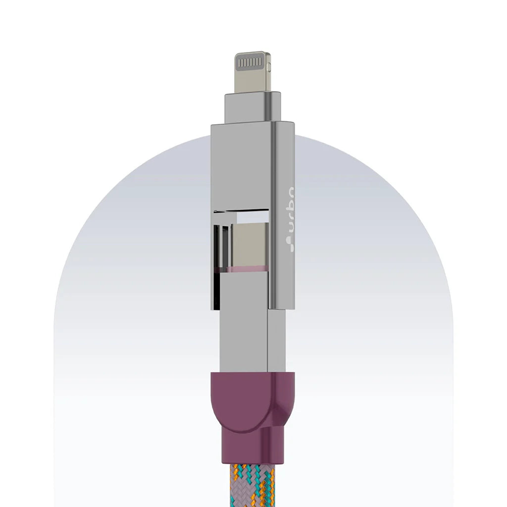 4 in 1 65W Payal Singhal Edition Cable 1 Ft