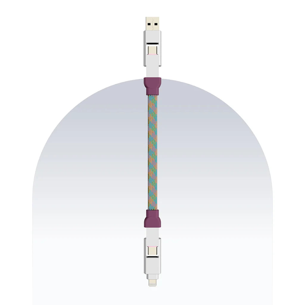 4 in 1 65W Payal Singhal Edition Cable 4 Ft