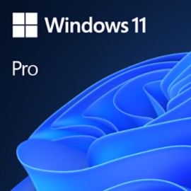 MICROSOFT WINDOWS PRO 11 64BIT ENG INTL 1PK DSP (OEM BOX PACK) DVD MEDIA