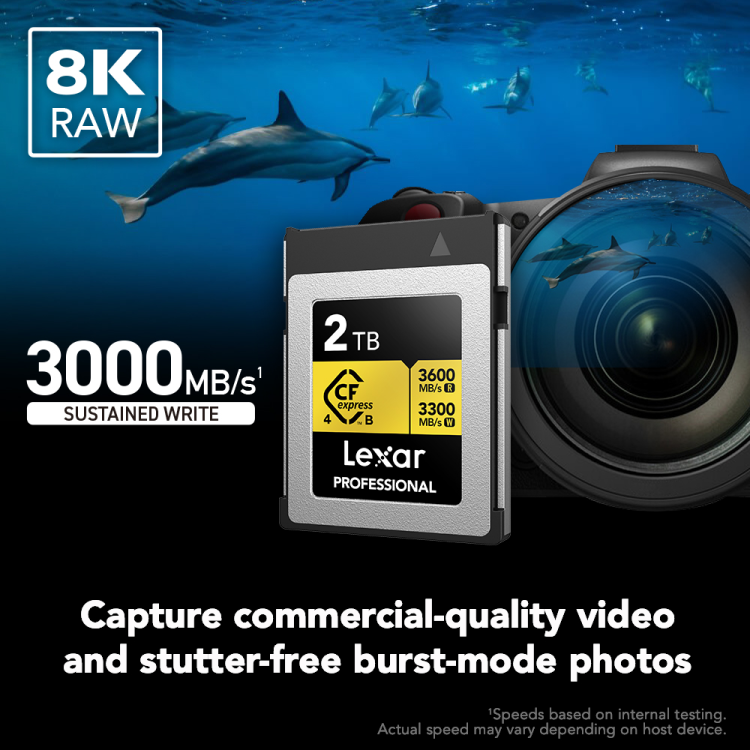 Lexar Professional GOLD CFexpress 4.0 Type B Card -1TB