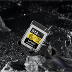 Lexar Professional GOLD CFexpress 4.0 Type B Card -512GB