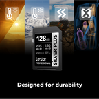 Lexar Professional SILVER PLUS SDXCUHS-I Card - 1TB