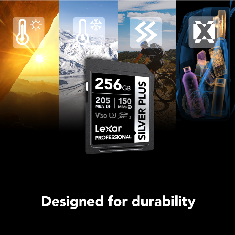 Lexar Professional SILVER PLUS SDXC UHS-I Card -256GB