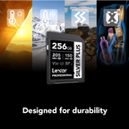 Lexar Professional SILVER PLUS SDXC UHS-I Card -256GB