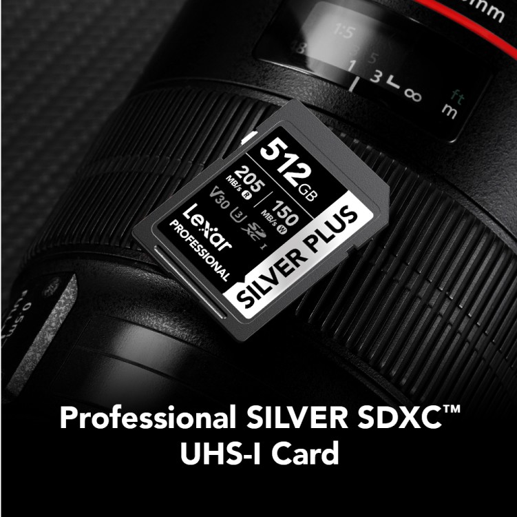 Lexar Professional SILVER PLUS SDXC UHS-I Card -256GB