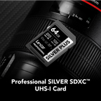 Lexar Professional SILVER PLUS SDXC UHS-I Card - 512GB