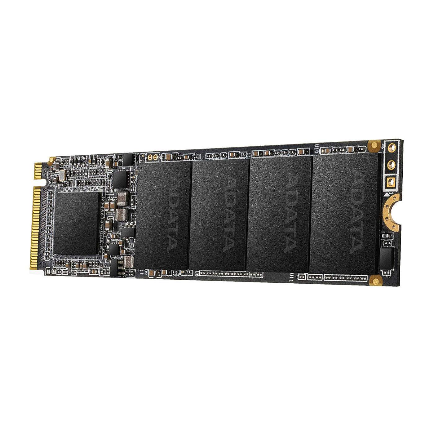XPG SX6000 512GB M.2 Solid State Drive