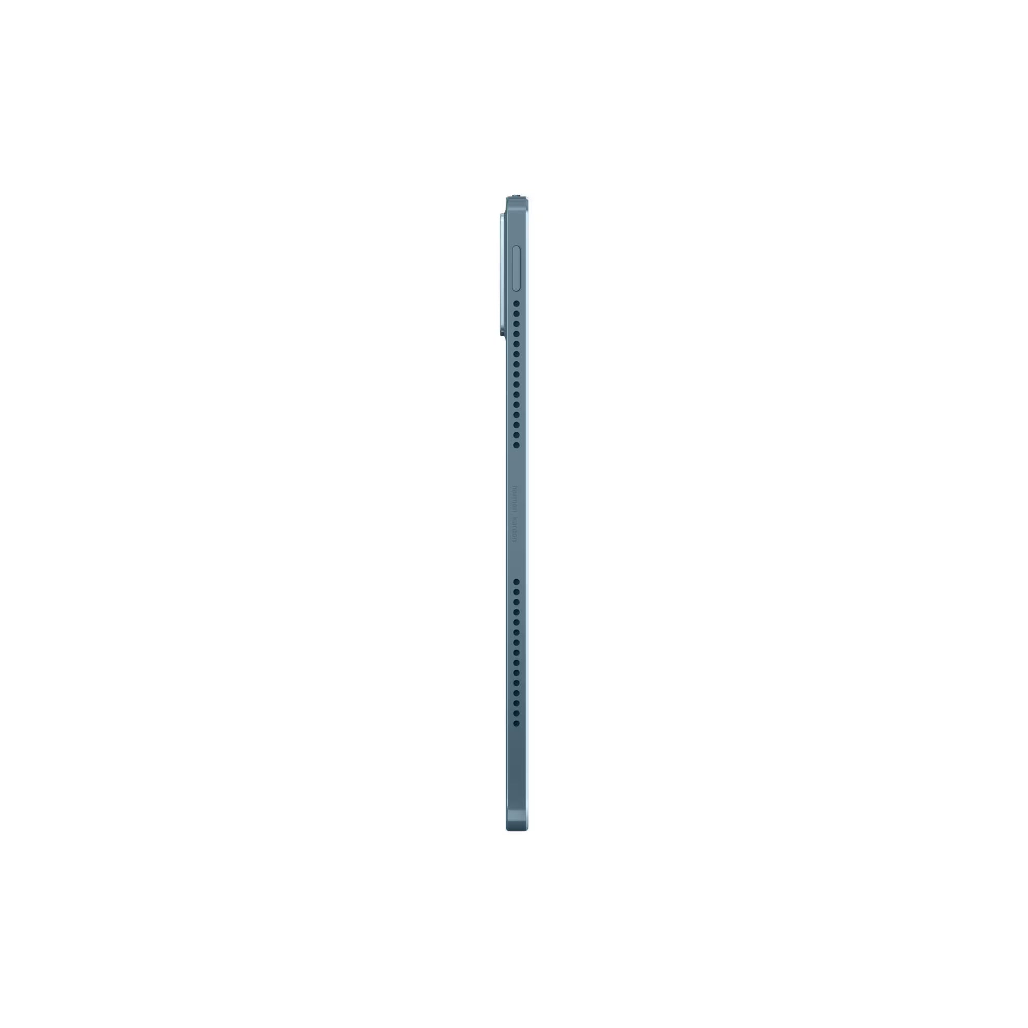 Long, thin metallic object on a white background