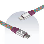 Type C to Type C 65W Payal Singhal Edition Cable