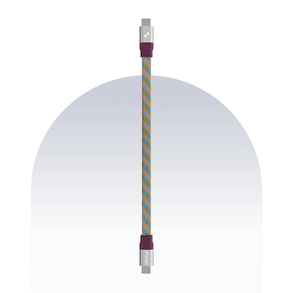 Type C to Type C 65W Payal Singhal Edition Cable