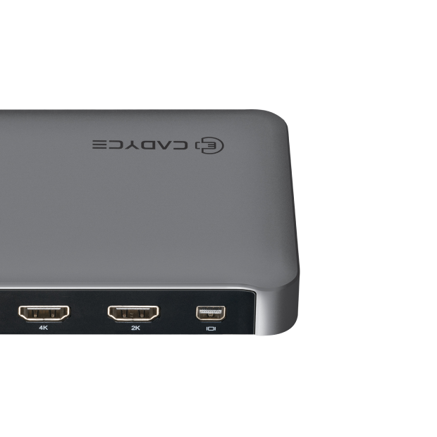Close‑up of Cadyce CA‑CDPRO docking station back ports