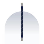 Type C to Type C 65W Payal Singhal Edition Cable