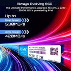 EVM 256GB M.2 SATA 3D NAND Internal SSD