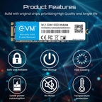 EVM 256GB M.2 SATA 3D NAND Internal SSD