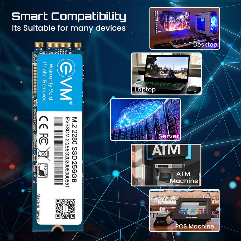 EVM 256GB M.2 SATA 3D NAND Internal SSD