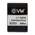 EVM 256GB 2.5-inch SATA 3D NAND Internal SSD