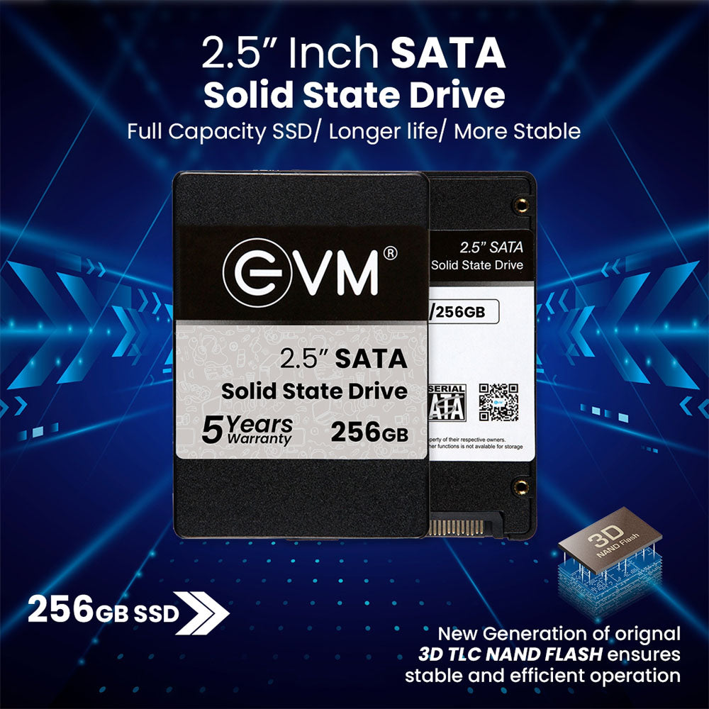 EVM 256GB 2.5-inch SATA 3D NAND Internal SSD