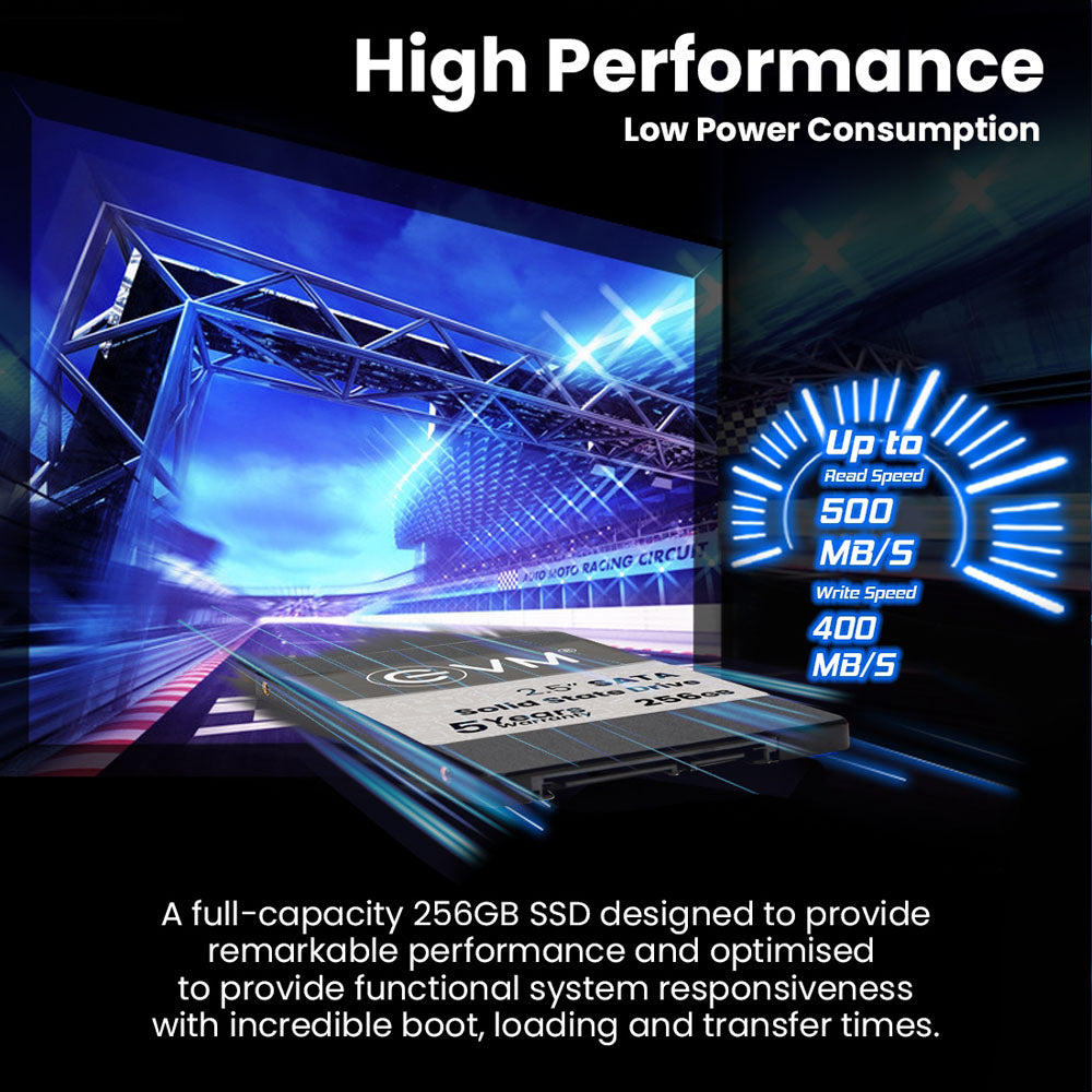 EVM 256GB 2.5-inch SATA 3D NAND Internal SSD
