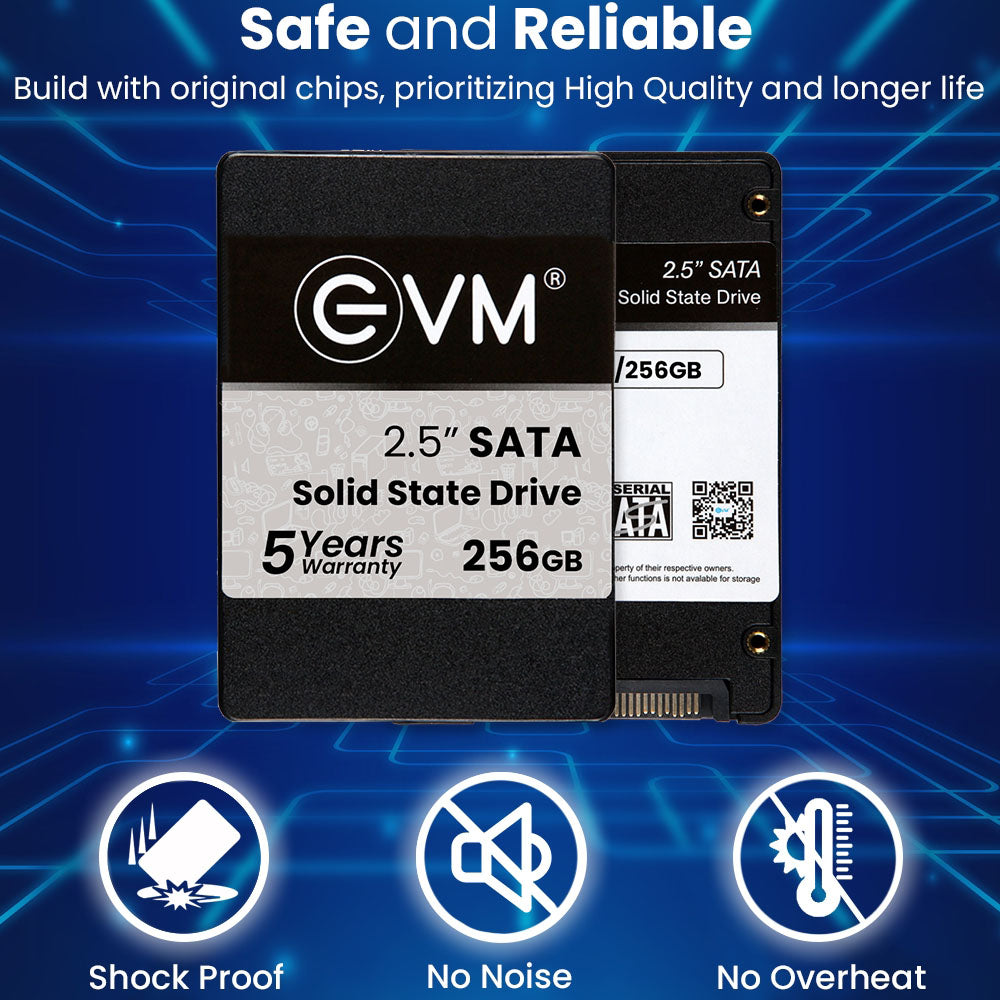 EVM 256GB 2.5-inch SATA 3D NAND Internal SSD